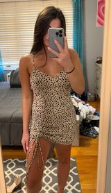 Cheetah Dress Photo 0