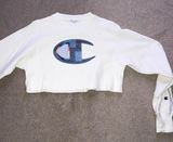 Champion Crop Hoodie Photo 0