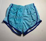 Nike Dri-Fit Shorts Photo 0