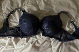 Dark Blue Lace Bra Photo 0