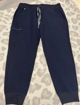 FIGS Zamora Joggers Photo 0