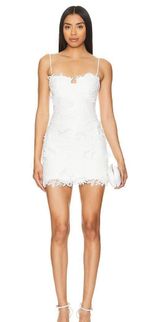 Bardot Brias Mini Dress Photo 0