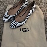 Zebra Flats Photo 0