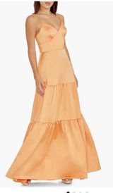 Dress the Population Dress Photo 0