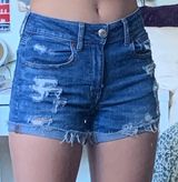 American Eagle Outfitters Shorts Photo 0