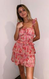 Vyvacious Fruit Punch Dress Photo 0