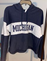 Champion Hoodie Photo 0