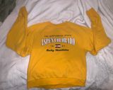 PacSun Yellow Crewneck Photo 0