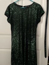 Cable & Gauge Green Sparkle Dress Photo 0