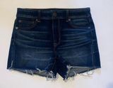 American Eagle Outfitters Women's Hi-Rise Shortie Size 6 Photo 0