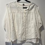 Pilcro white gauzy button‎ down top size small Photo 0