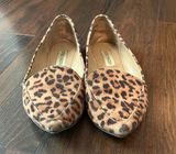 Steve Madden Leopard Flats Photo 0