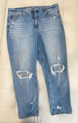 American Eagle Mom Jean Photo 0