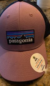 Patagonia Trucker Hat Photo 0