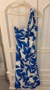 Petal & Pup Dress Photo 0