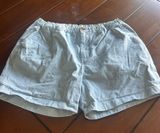 Men’s Chubbies Shorts 5.5" Large Photo 0