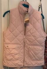 Francesca's Pink Vest Photo 0