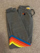 Aviator Nation Sweatpants Photo 0