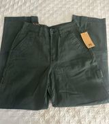 Vans Cargo Pants Photo 0