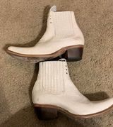 FREEBIRD by Steven  Photo 0