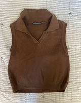 Brown Sweater Vest Photo 0
