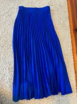 Blue Pleated Maxi Skirt Photo 0