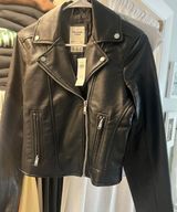 Black Leather Jacket Photo 0