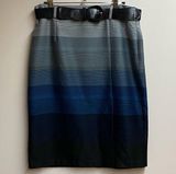 Roz & Ali Blue/Gray Skirt W/Belt Photo 0