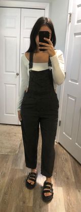Aerie Gray Overalls Photo 0
