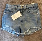 ZARA Jean Shorts Photo 0