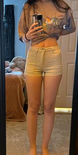 Blue Spice Khaki Shorts Photo 0