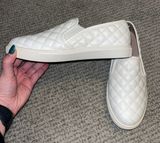 Steve Madden Ecentrcq Photo 0