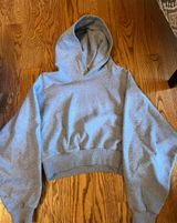 Aritzia Tna Cropped Hoodie Photo 0