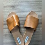 Steve Madden Tan Women's Slides Photo 0