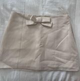 ZARA Mini Skirt Photo 0