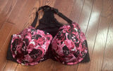 Torrid Bras for Gabrielle Photo 0