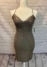 Windsor Sparkle Dress Photo 0