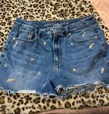 American Eagle shorts  Photo 0