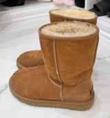 UGG Short Chestnut Photo 0