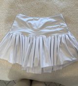 Gold Hinge Skirt Photo 0