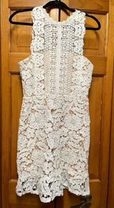 Lace Dress Photo 0