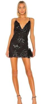 Revolve Abigal Mini Dress Photo 0