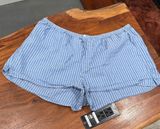 Aerie Light Blue Striped boxer Shorts Photo 0