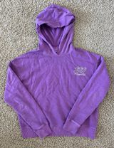 Jogger Club Hoodie- RARE Photo 0