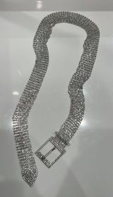 Boutique Sparkly Belt Photo 0