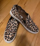 Steve Madden Shoes Photo 0