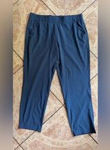 Eddie Bauer Blue Comfortable Everyday Wear Pants Photo 0