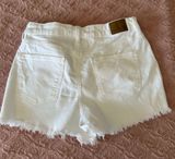 American Eagle  Shorts Photo 0