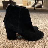 Steve Madden black suede booties Photo 0