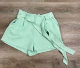 Lush Clothing NWT- Mint Shorts  Photo 0